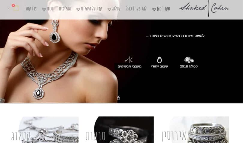תצוגה היסטורית — שקד | כהן