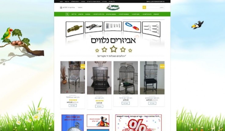תצוגה היסטורית — תוכי שופס