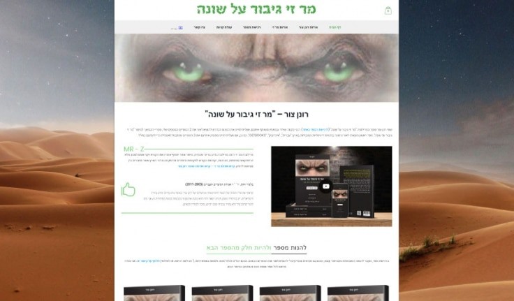תצוגה היסטורית — מר זי גיבור על שונה